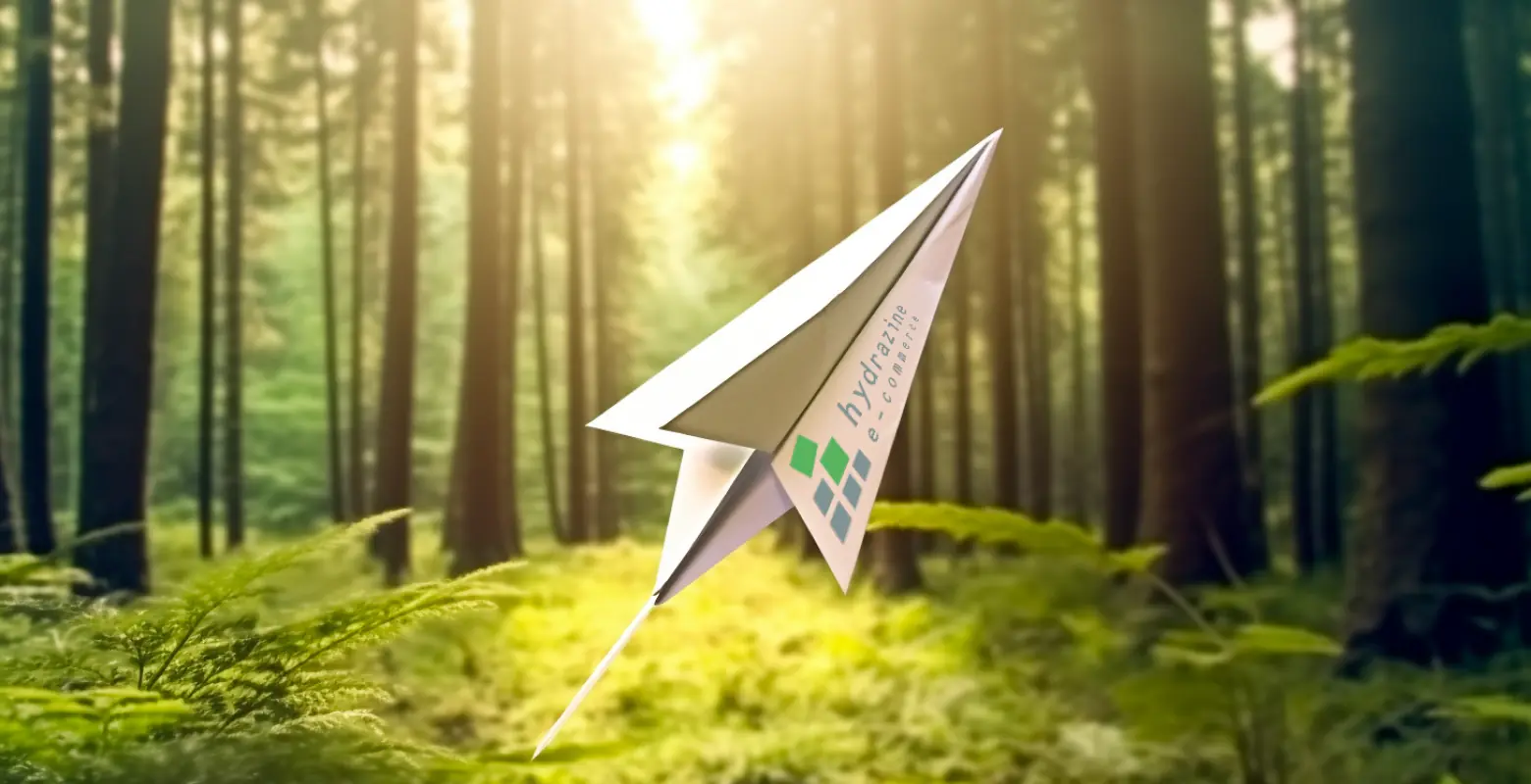 Hydrazine E-commerce Platform